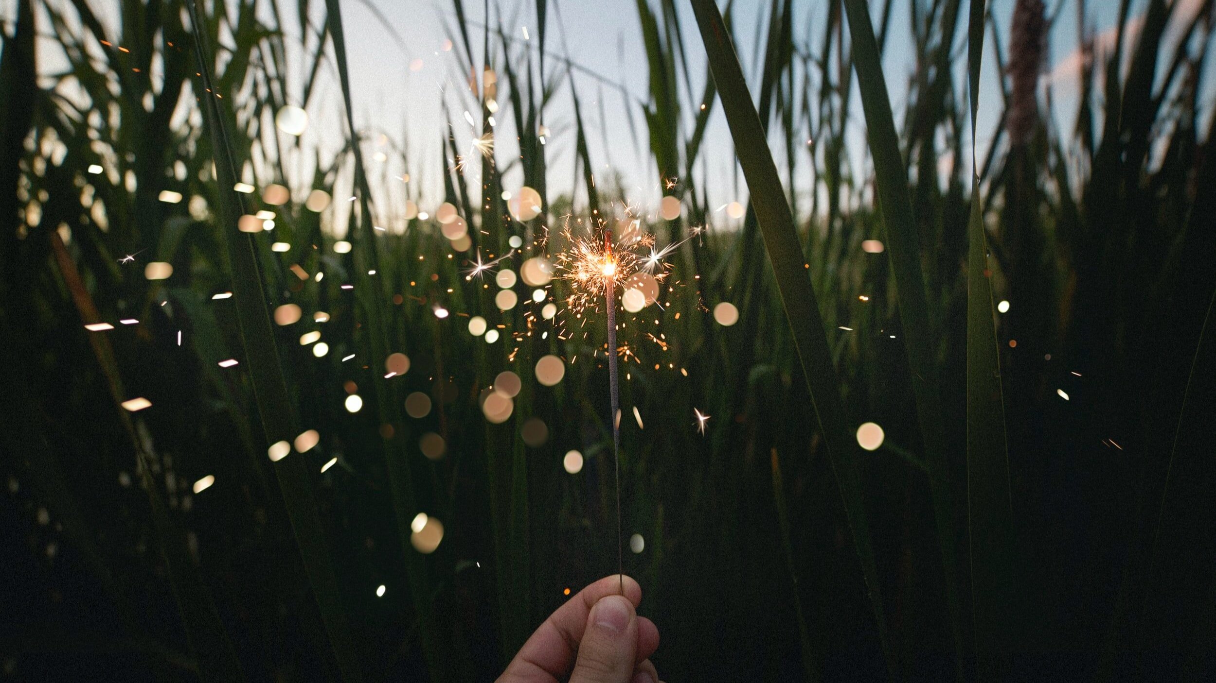 What disconnects you from Happiness?