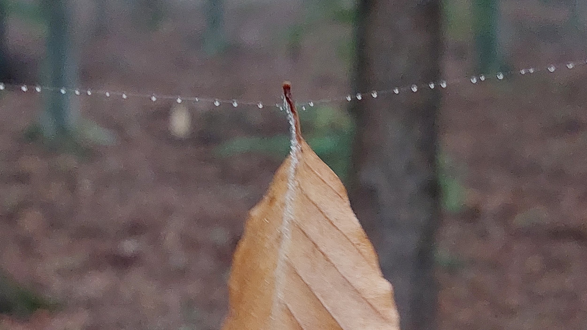 Rückschau, Einsicht und Weitsicht