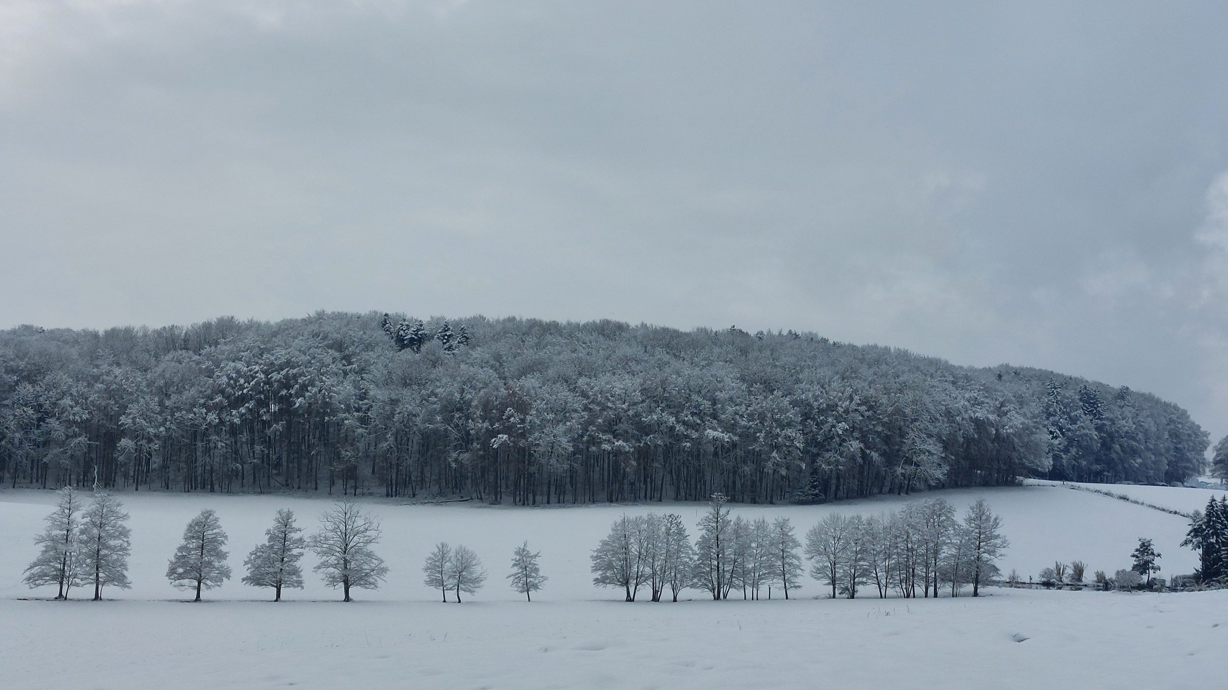 Mystics Of Winter – Wintermystik
