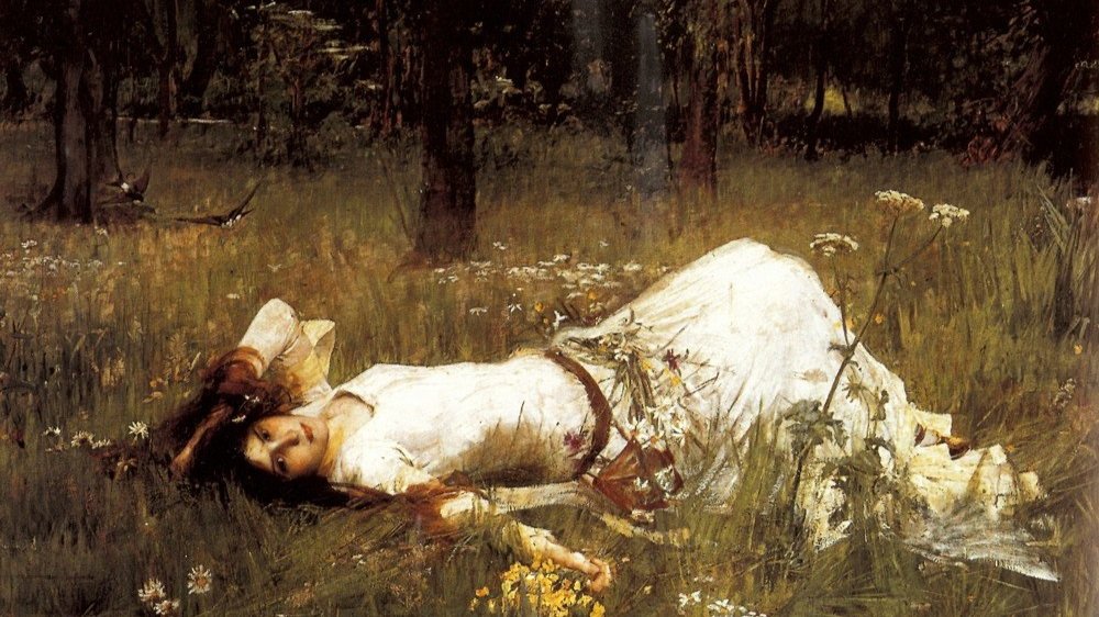 Leben im Waldhaus – Teil 2