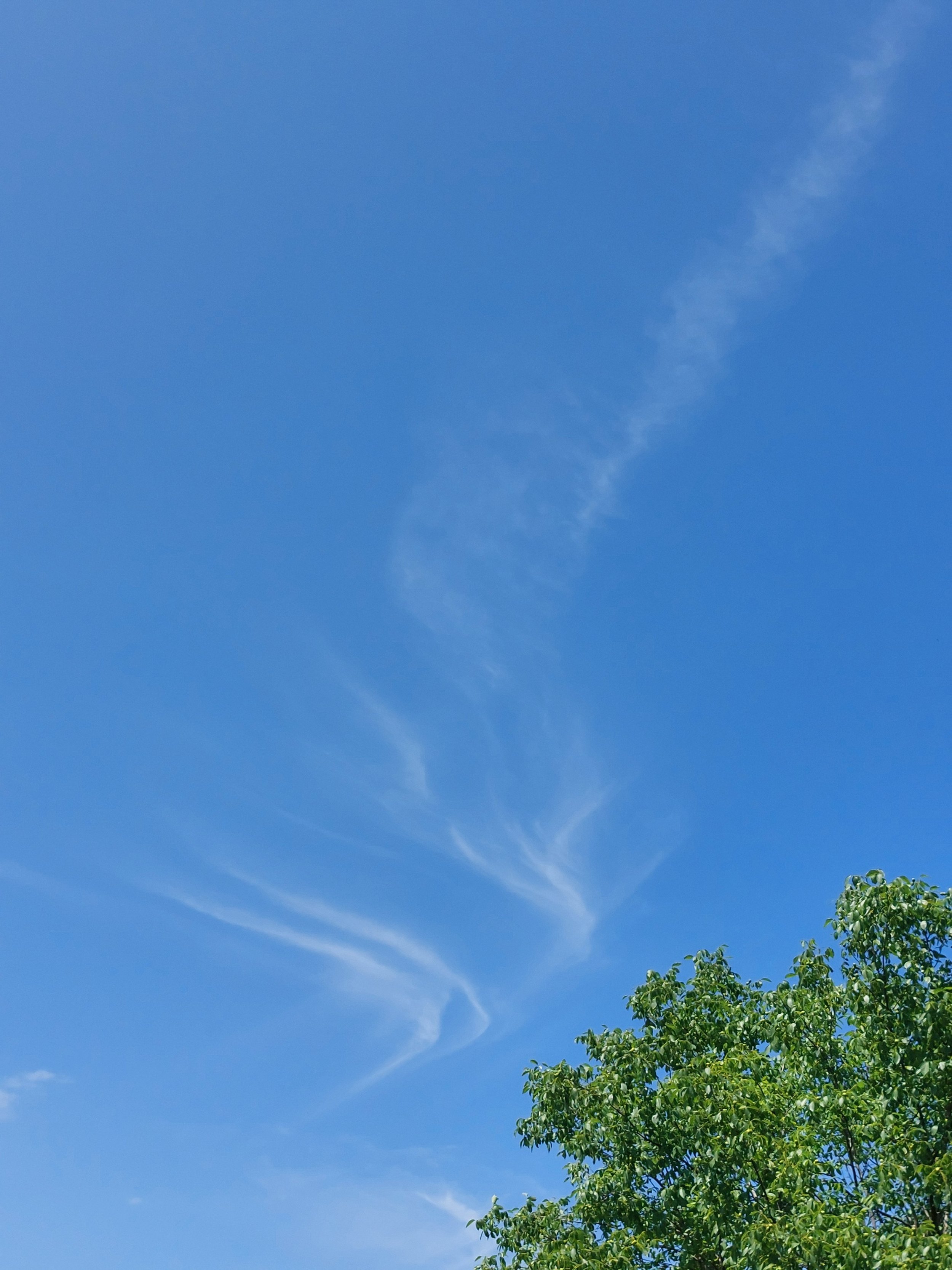 So viel Licht zu sehen