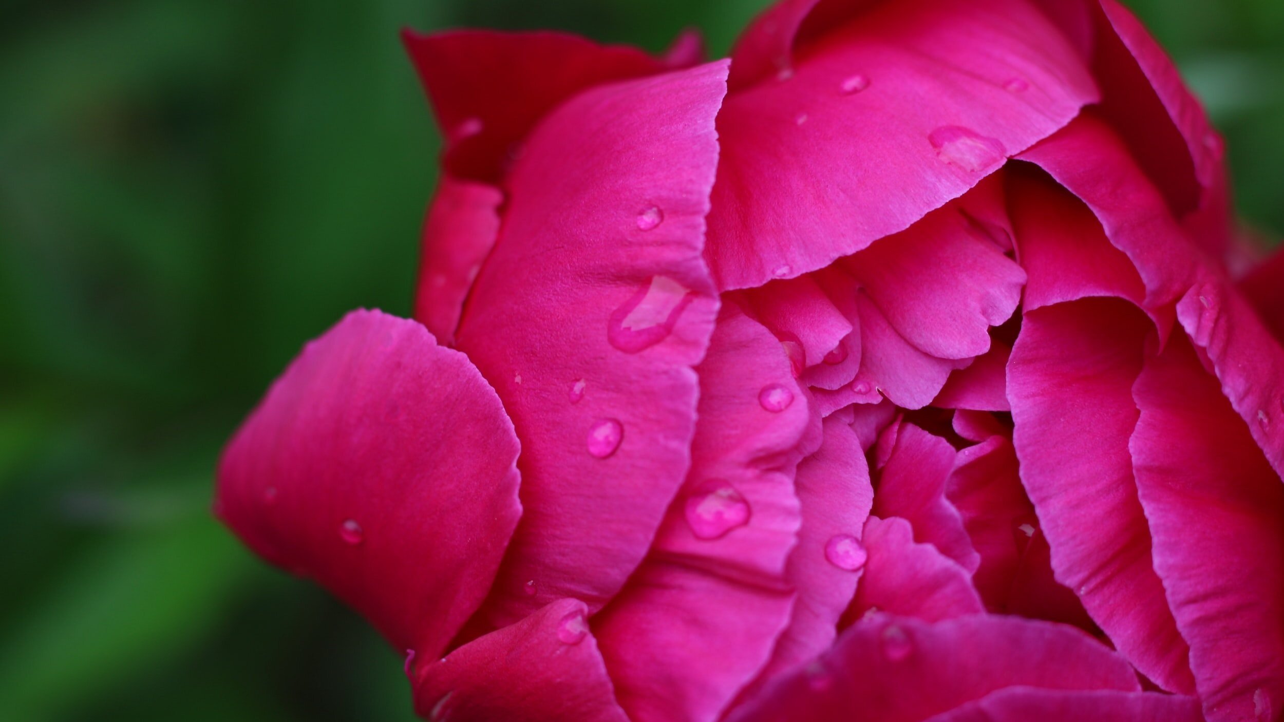 How often are you creating?